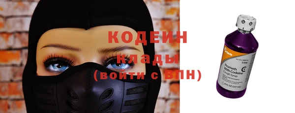 шишки Богородск