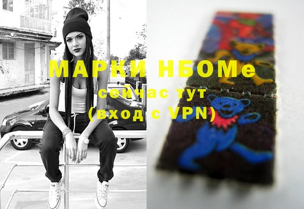 шишки Богородск