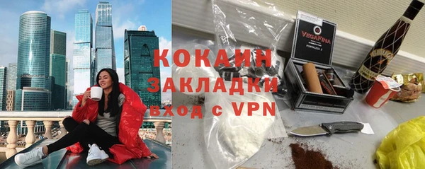 шишки Богородск